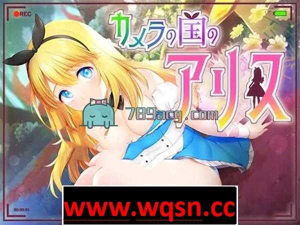 【互动SLG/养成/全动态】艾薇之国的爱丽丝 V1.00 完整正式版+全CG【3G】 - 万千少女游戏网-万千少女游戏万千少女游戏网